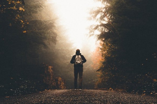 Designing Clean and Intuitive Navigation Systems for Web Apps
